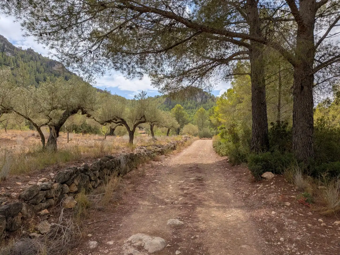 Maison rustique à vendre à Camino  Tivissa 51, imagen 42
