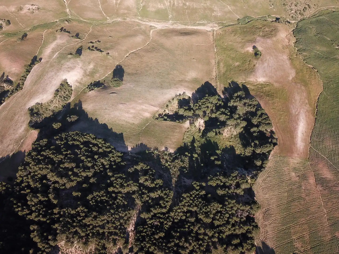 Terreno residenziale in vendita a Ardales, imagen 30