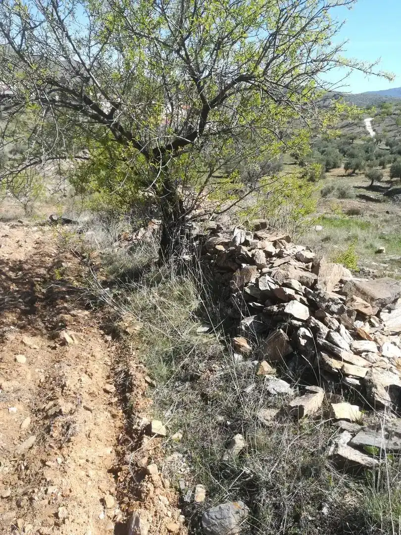 Terreno en venta en Tahal