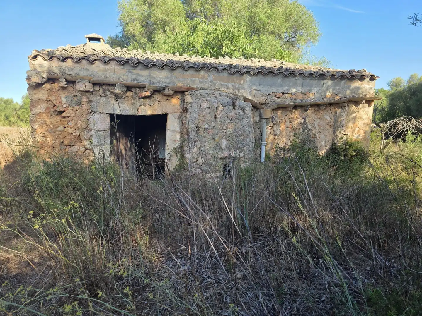 Vista exterior de Finca rústica en venta en Costitx