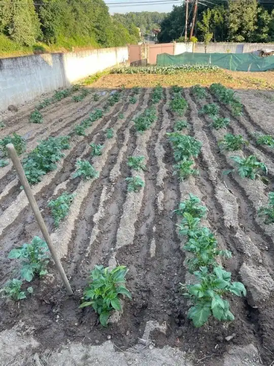 Terreni e lotti in vendita a Taboadela, imagen 4