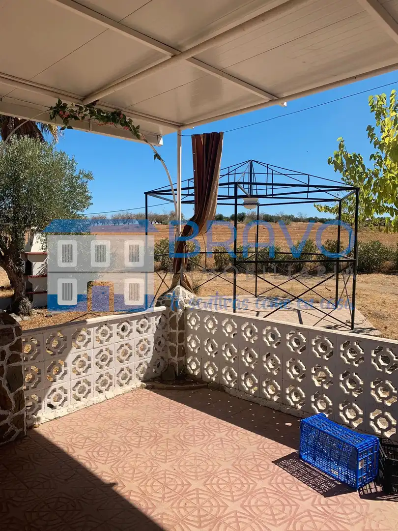 Chalet en venta en La Haba, imagen 13