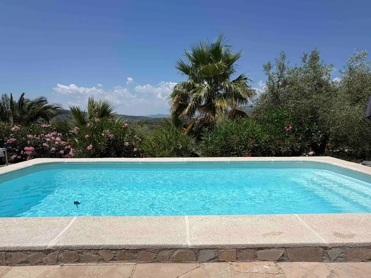 Piscina de Finca rústica en venda en Traiguera amb Jardí privat, Piscina i Moblat