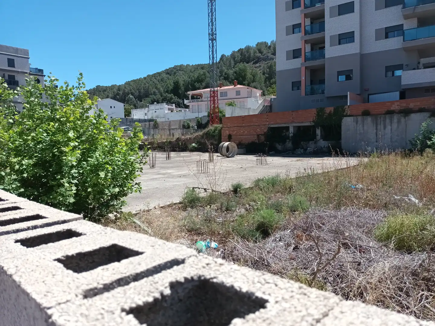 Altri in vendita a PINTOR JUAN FRANCES, imagen 13