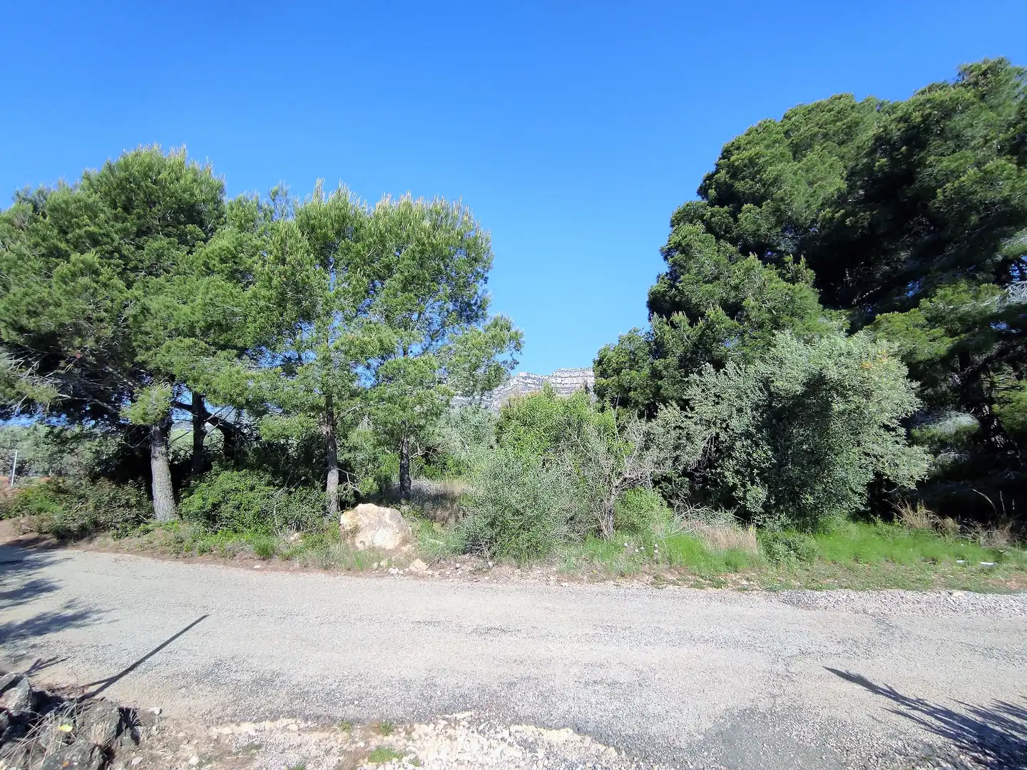 Rural land for sale in Alcanar, imagen 2