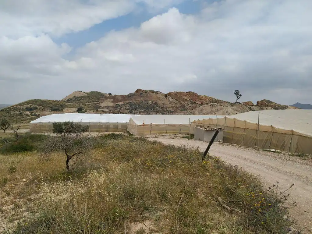 Rustikales Grundstück zum Verkauf in Pt Los Llanicos, Pol 17, imagen 8