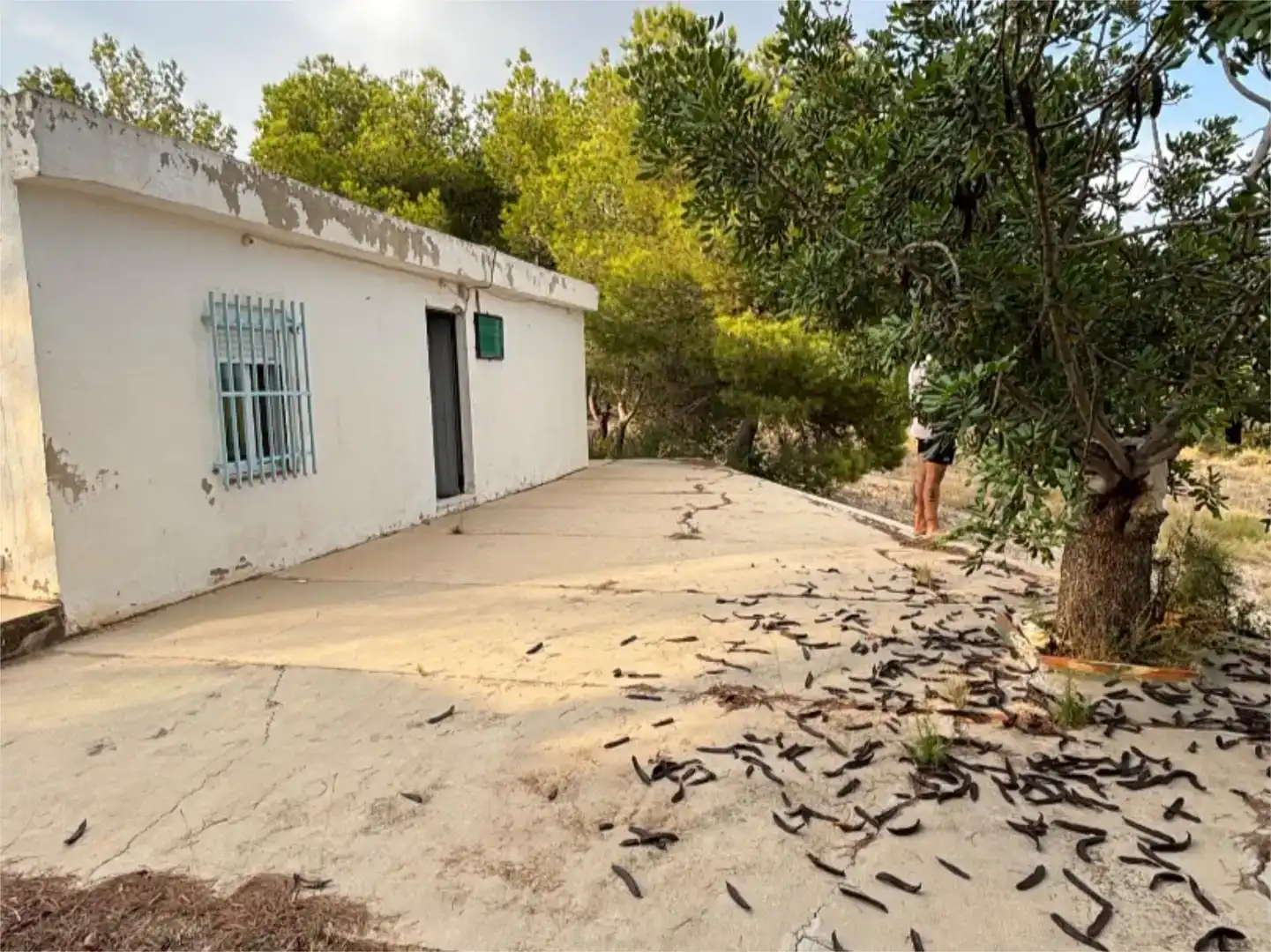 Vista exterior de Finca rústica en venda en Llíria
