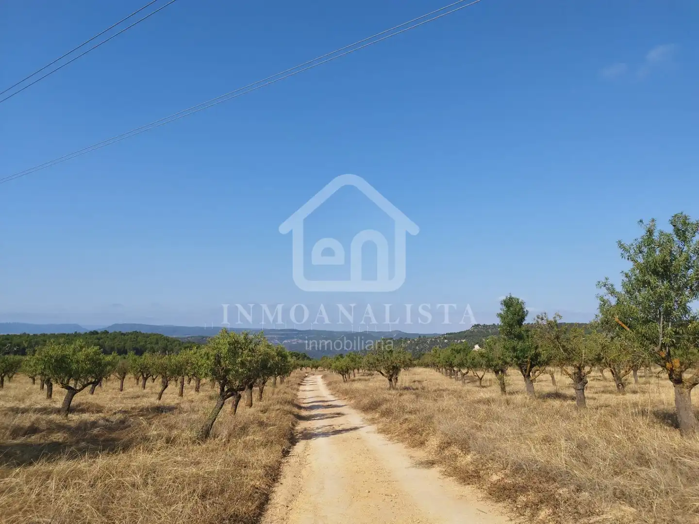 Rural land for sale in Cofrentes, imagen 32