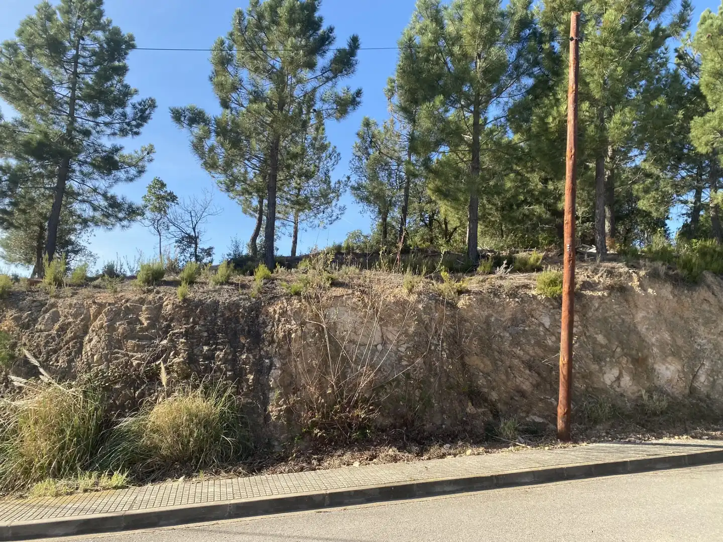 Terreno residencial en venta en Calle Lirios 23, imagen 8