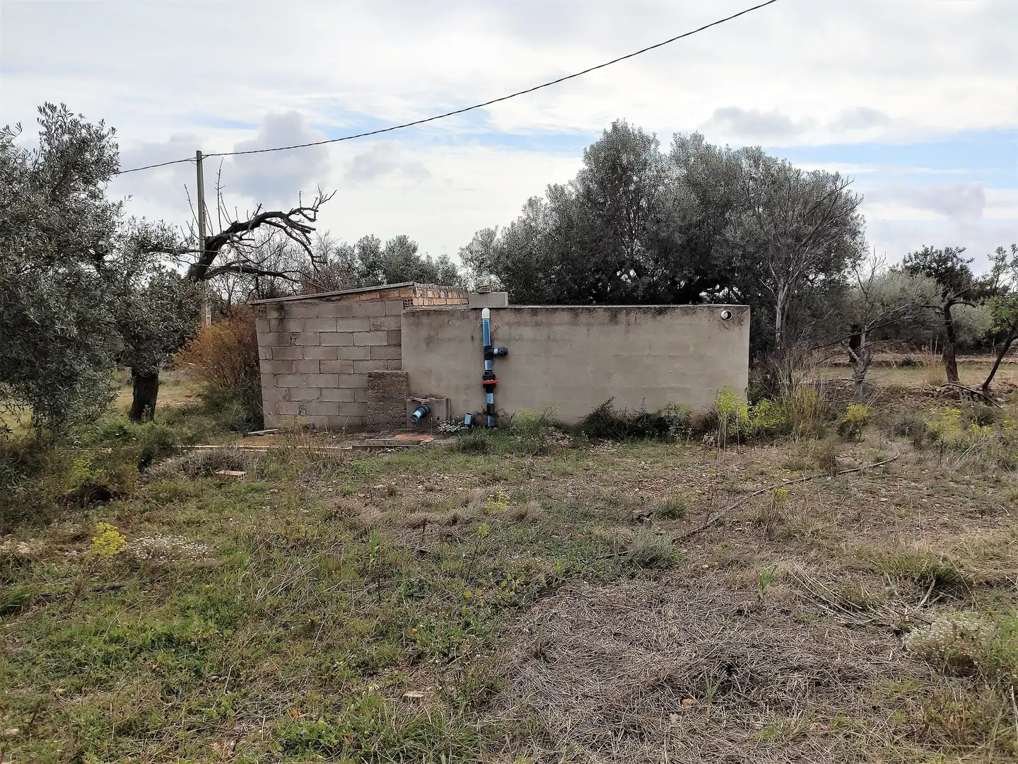 Terrain rustique à vendre à Alcanar, imagen 5