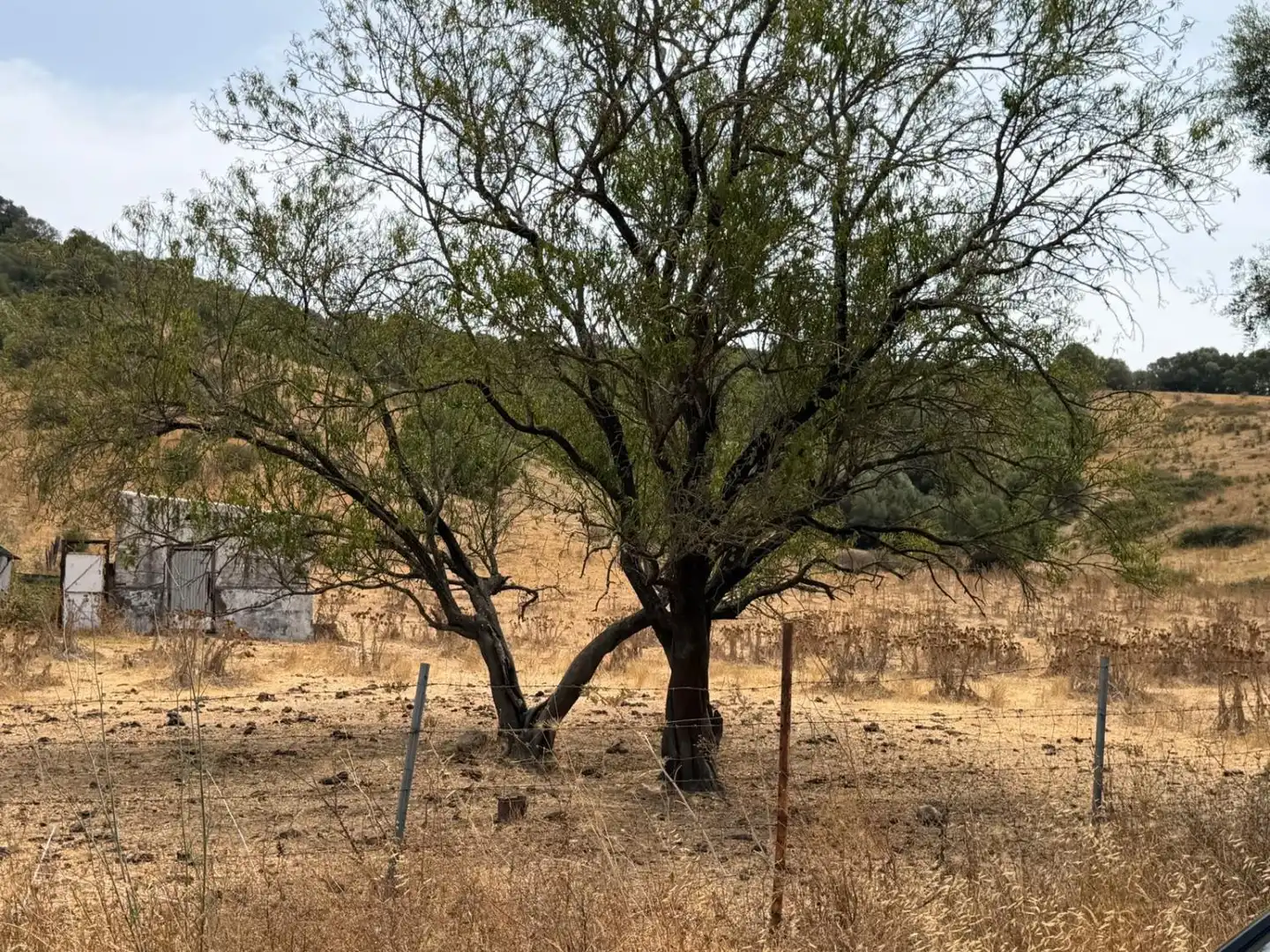 Casa rústica en venta en San Martín del Tesorillo, imagen 15