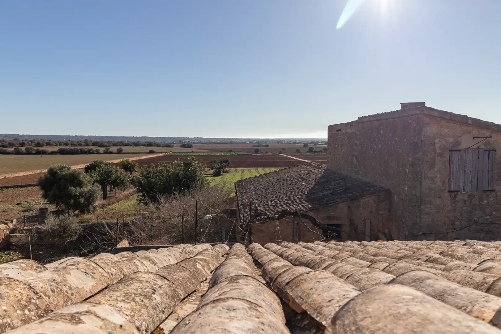 Vista exterior de Finca rústica en venta en  Palma de Mallorca