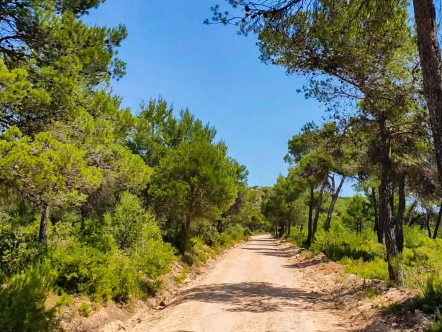 Außenansicht von Wohnung zur Miete in Alcoy / Alcoi mit Klimaanlage, Privatgarten und Schwimmbad