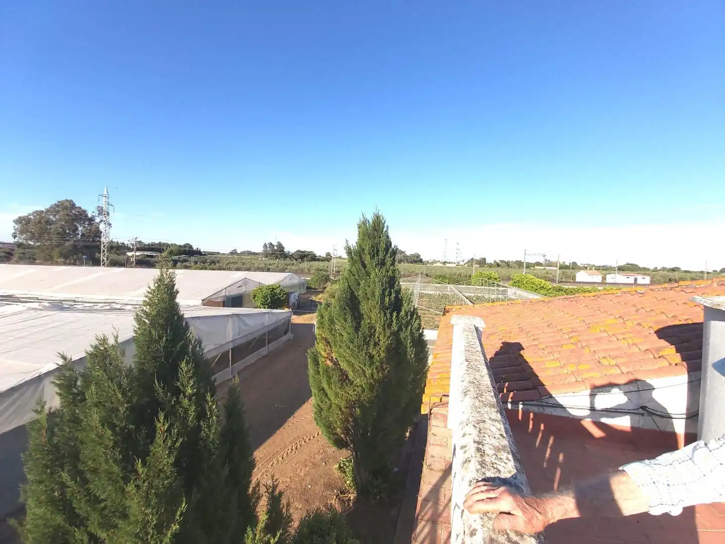 Jardí de Casa o xalet en venda en Utrera