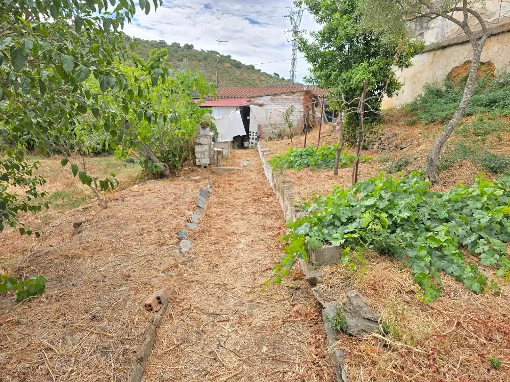 Casa o chalet en venta en Aliseda
