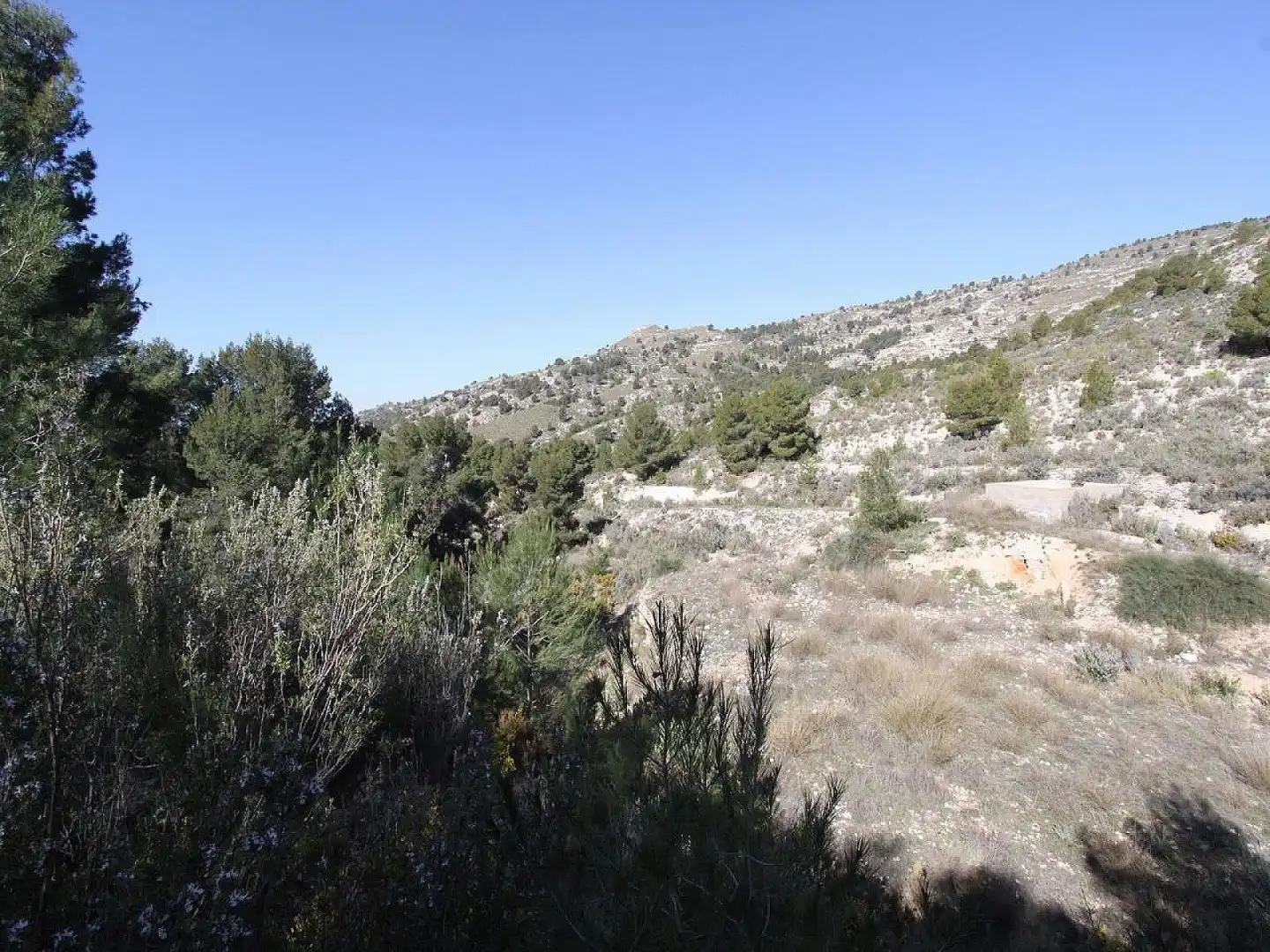 Chalet en venta en Petrer, imagen 9