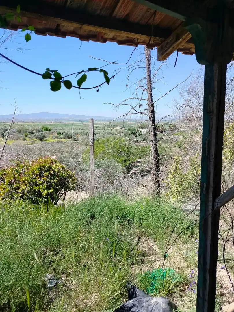 Terreno rustico in vendita a Polígono diseminado La Molata 19 poligono 26 parcela 1, imagen 4