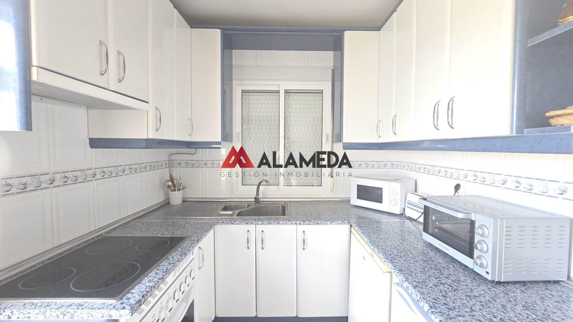 Cuina de Casa o xalet en venda en Chiclana de la Frontera amb Aire condicionat, Jardí privat i Terrassa