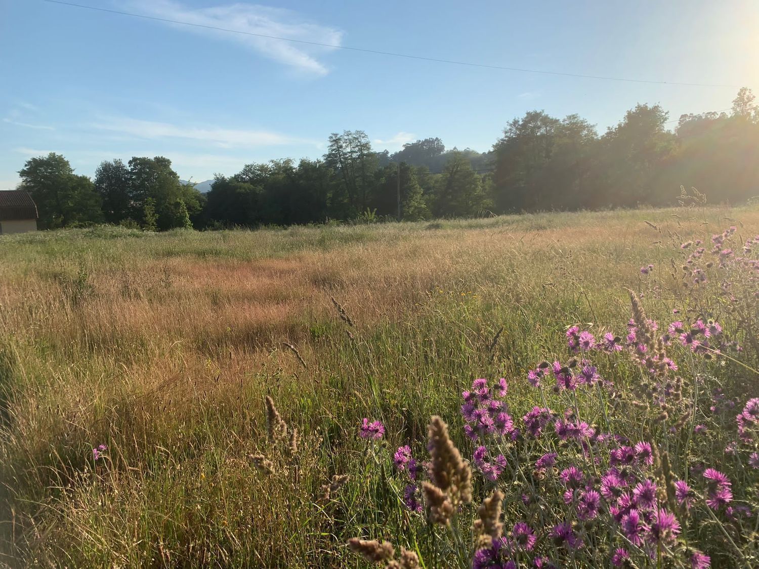 Residencial de lloguer en Mos