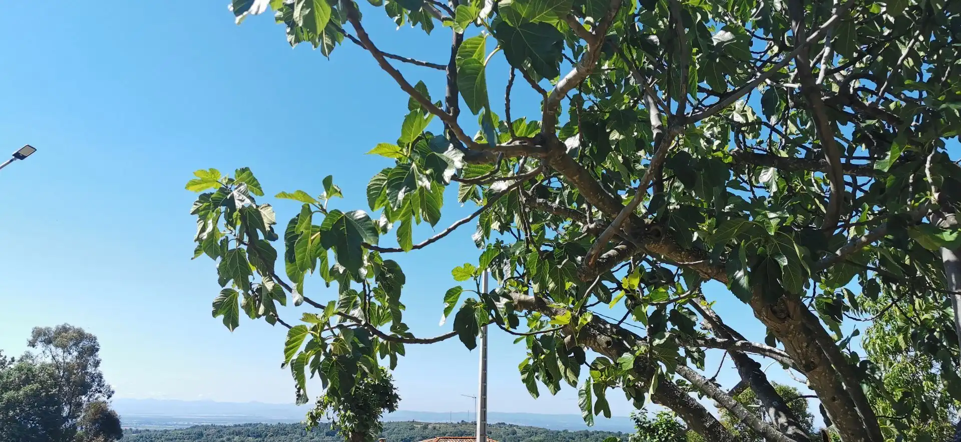 Terreni e lotti in vendita a Valverde de la Vera, imagen 3
