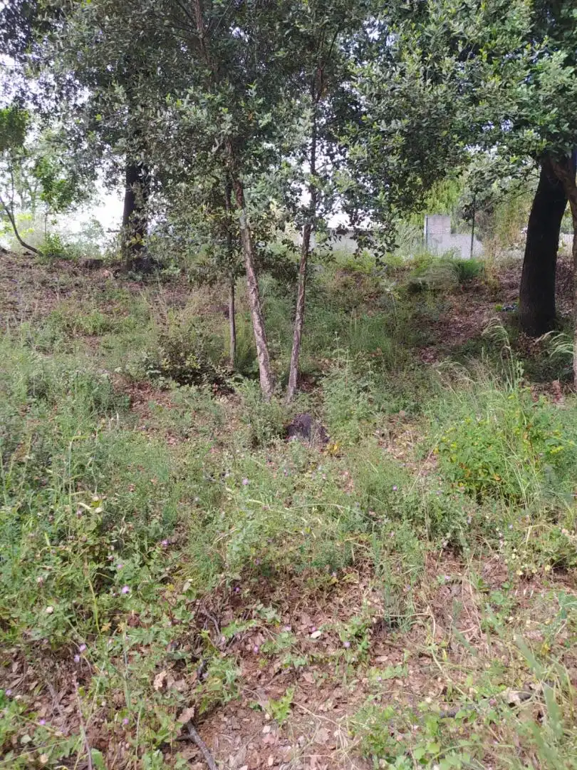Residential for sale in Gualba