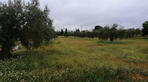 Terreno en venta en Hellín