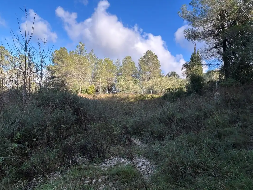 Rural land for sale in Partida Tancaes, imagen 25