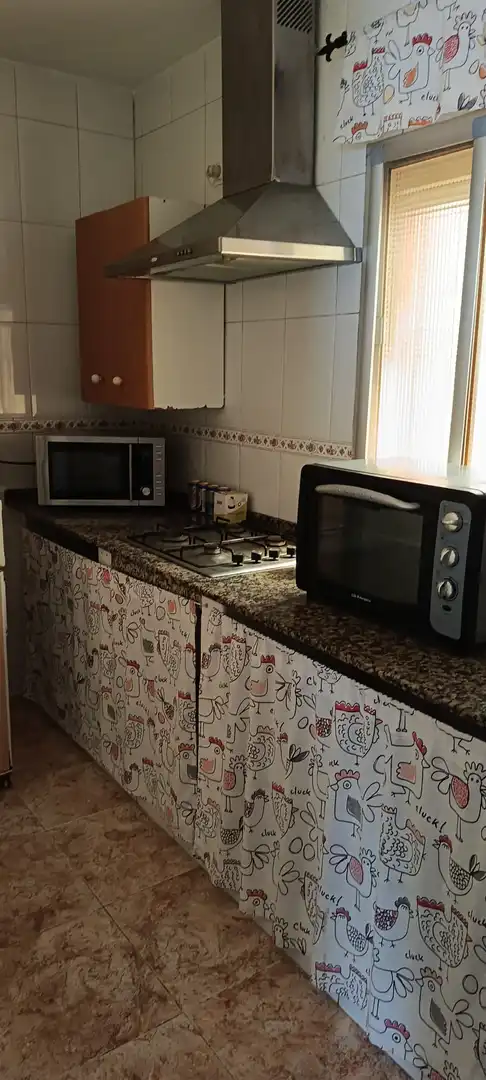 Cuina de Finca rústica en venda en Chiclana de la Frontera amb Jardí privat