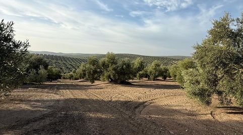 Foto 5 von Grundstücke zum Verkauf in Benamejí, Córdoba