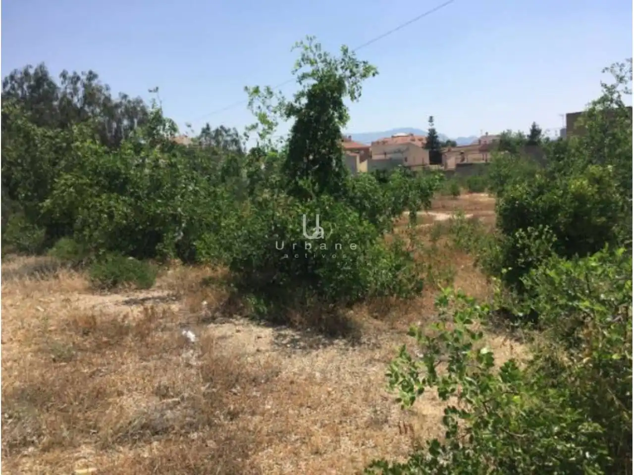 Terreni e lotti in vendita a Poligono Suelo Polígono 17 Parcela 1 OLMILLO. ALHAMA DE MUR 0, imagen 4