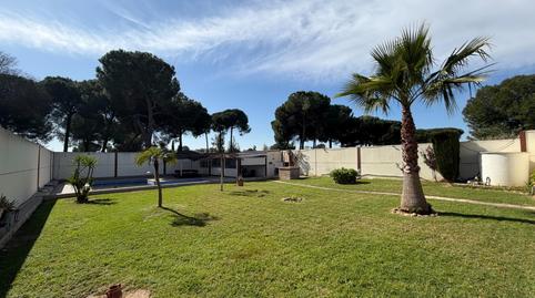 Foto 2 de Casa o chalet en venta en Almensilla, Sevilla