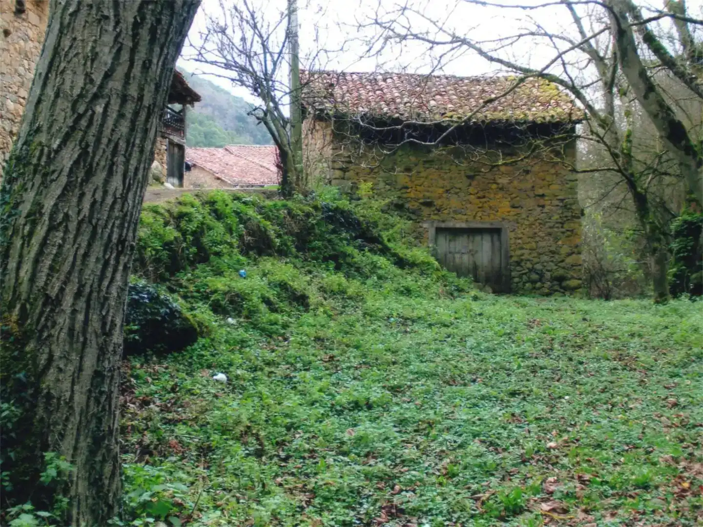 Finca rústica en venda en Camaleño