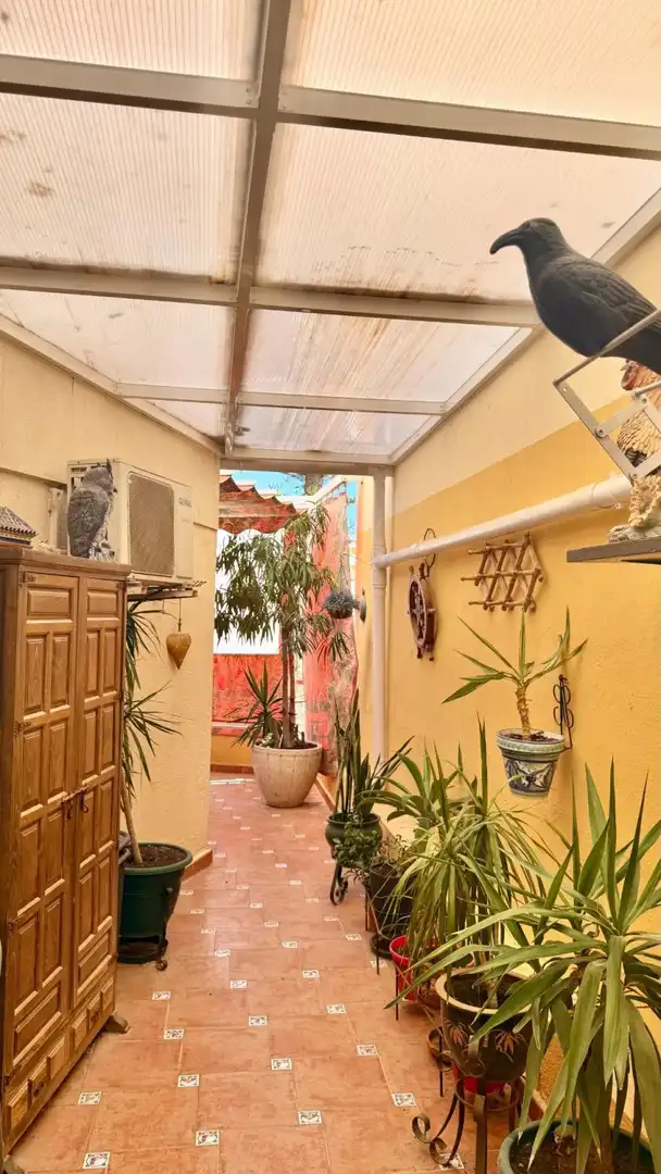 Terrasse von Wohnung zum Verkauf in Torremolinos mit Klimaanlage, Terrasse und Gemeinschaftspool