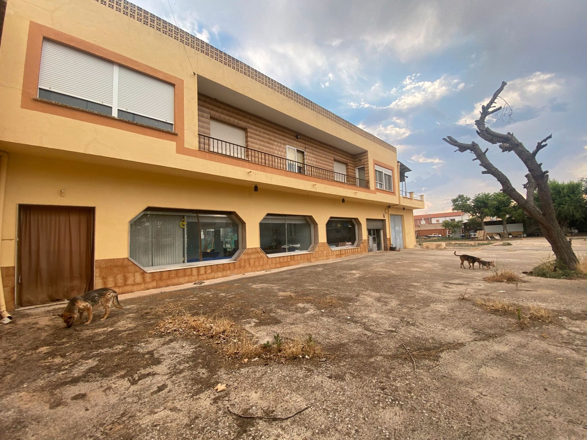 Exterior view of House or chalet for sale in Villafranca de los Caballeros  with Private garden, Terrace and Furnished