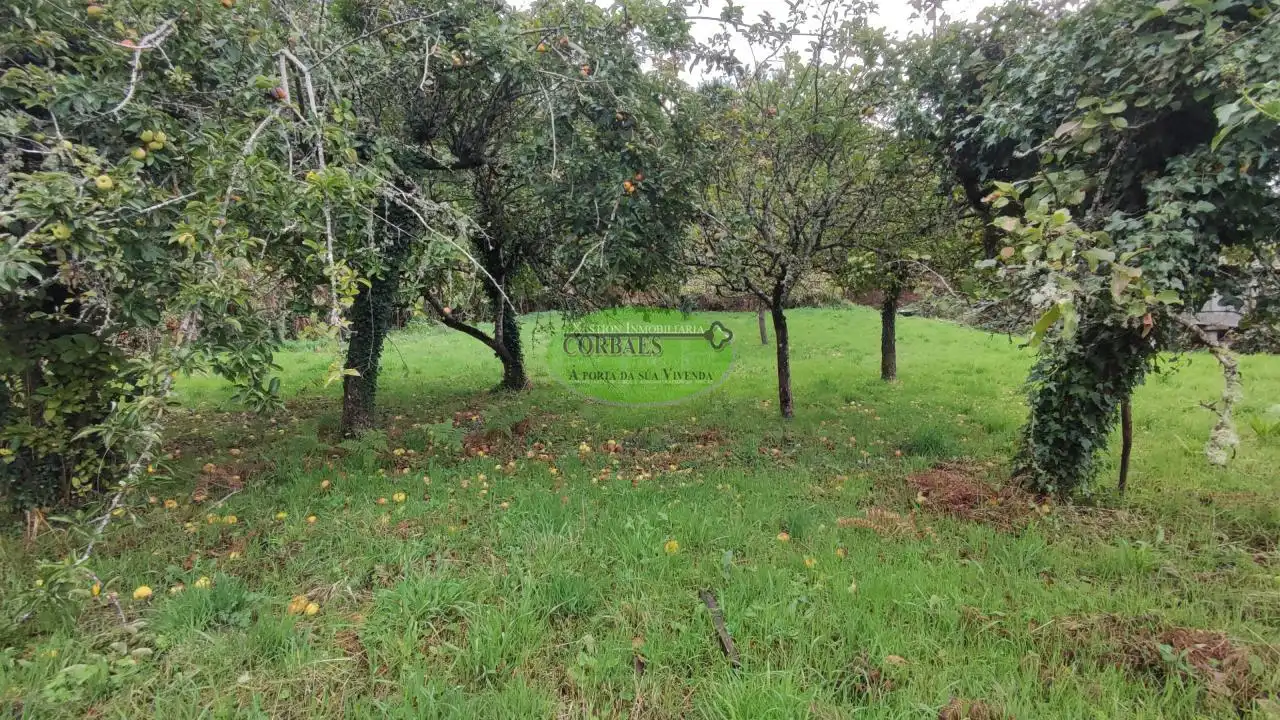 Casa con jardín en venta en Quintela de Leirado, imagen 13