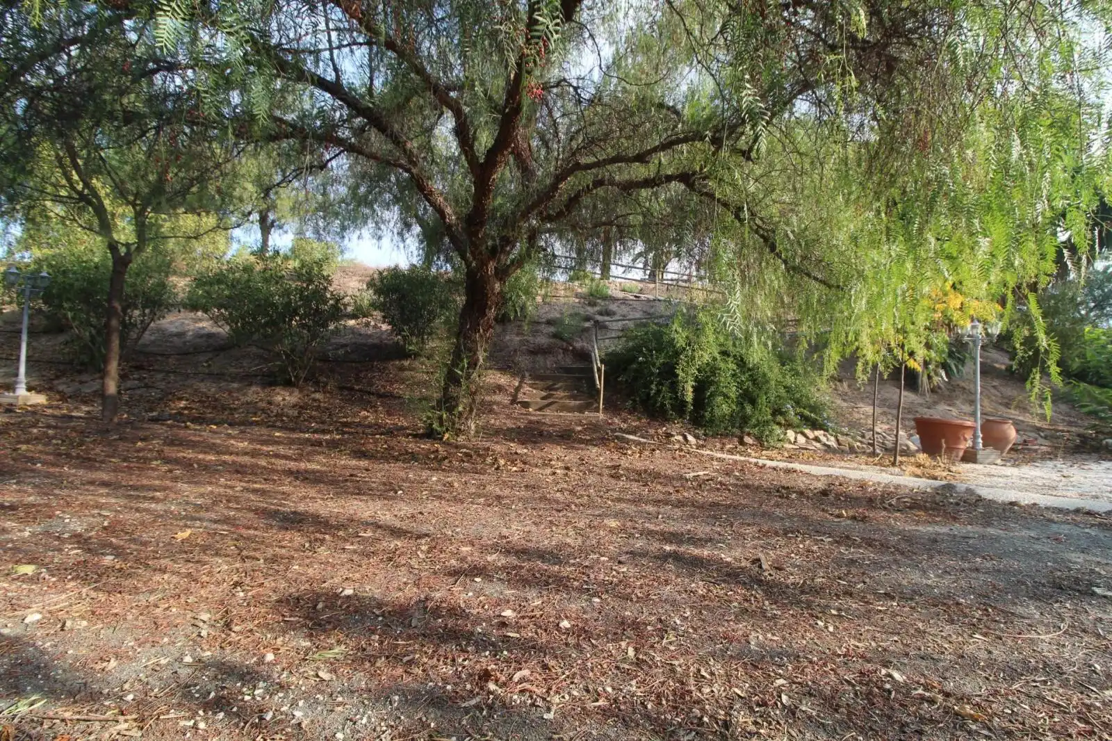 Casa o xalet en venda en Mula