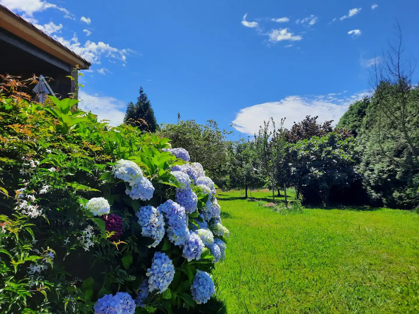 Chalet con piscina en venta en Perbes 60, imagen 84