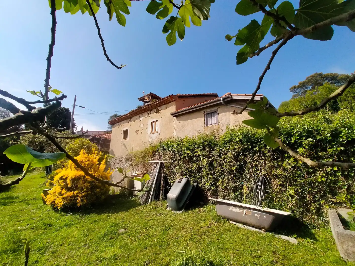 Jardí de Finca rústica en venda en Cudillero amb Jardí privat, Terrassa i Traster