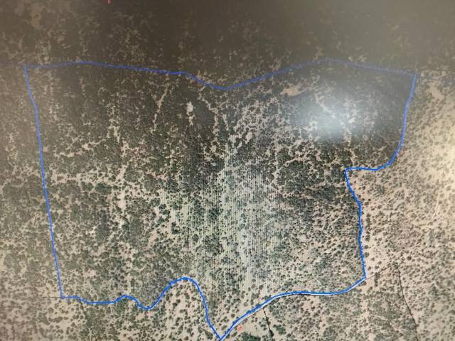 Terreno en Venta en Escurial