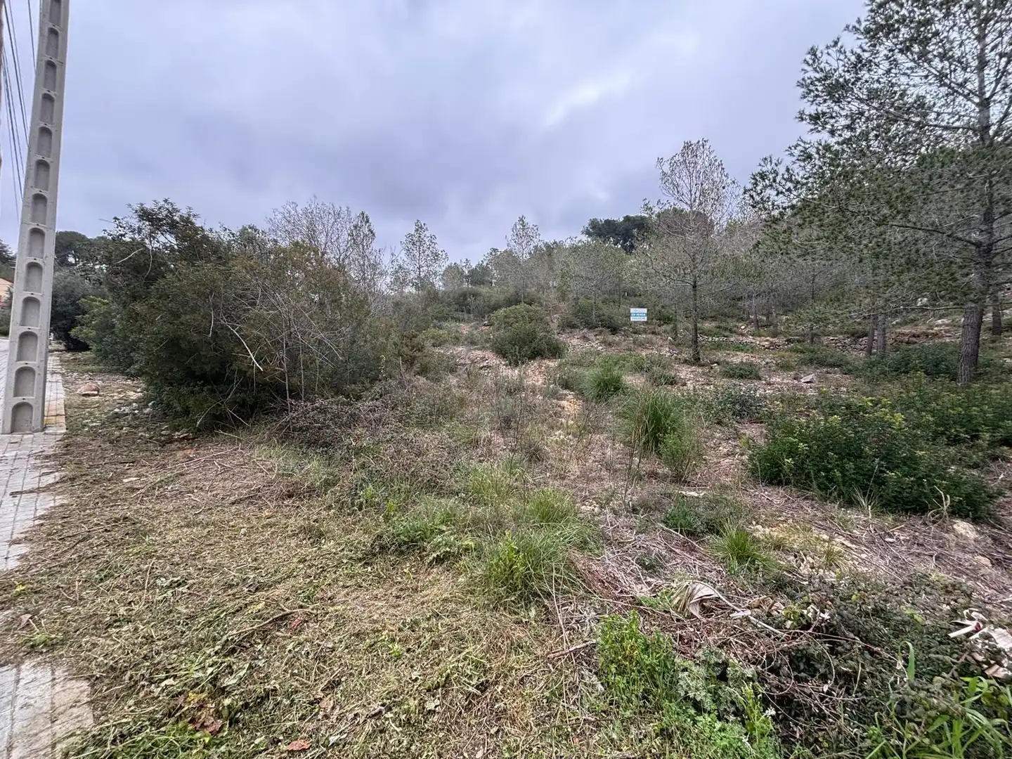 Terreny residencial en venda a Olivella, imagen 20