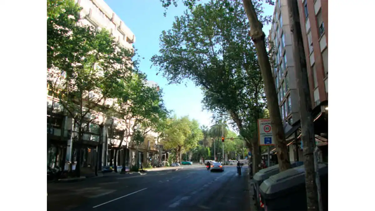 Büro zum Verkauf in TEJARES, 5, Zona Centro