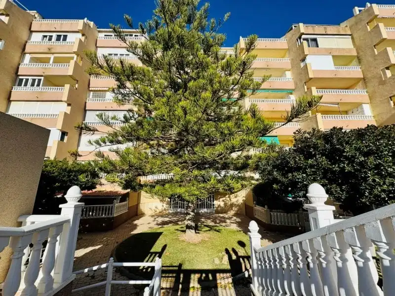 Vista exterior de Apartamento en venta en Guardamar del Segura con Aire acondicionado, Calefacción y Terraza