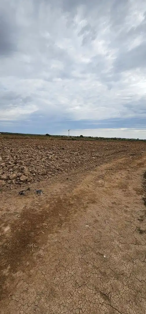 Terreno en venta en Camino el Hornico, Sucina