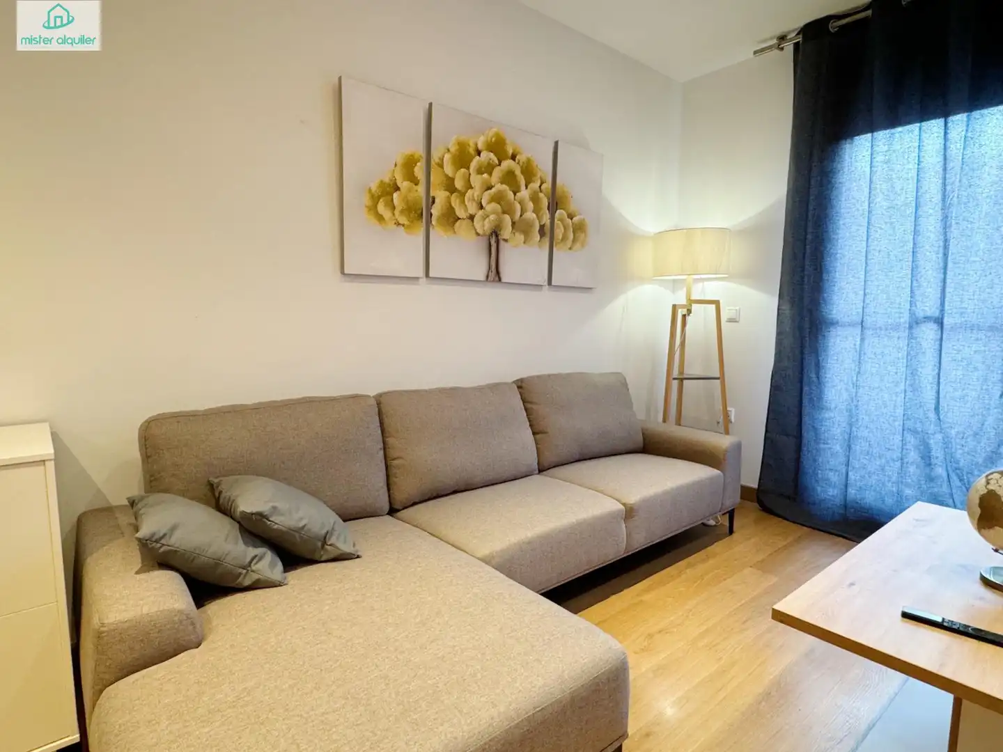 Living room of Apartments for rent in San Vicente del Raspeig / Sant Vicent del Raspeig  with Air Conditioner, Private garden and Terrace