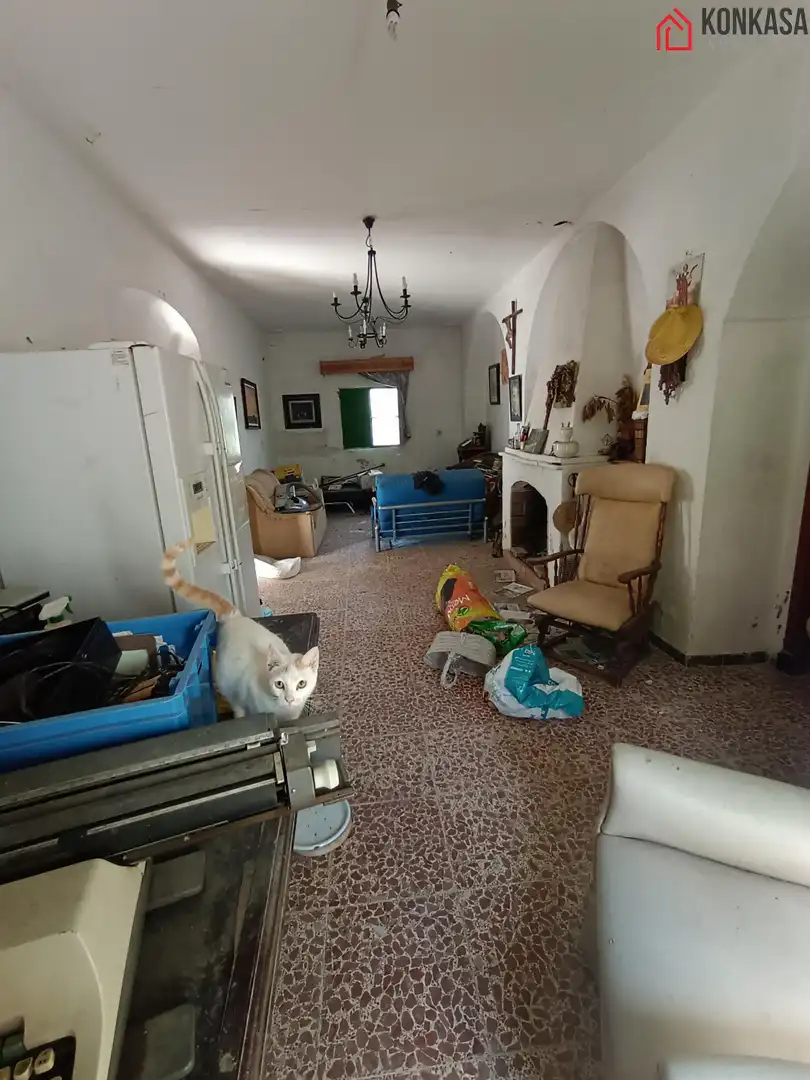 Casa rústica en venda a Arcos de la Frontera, imagen 8