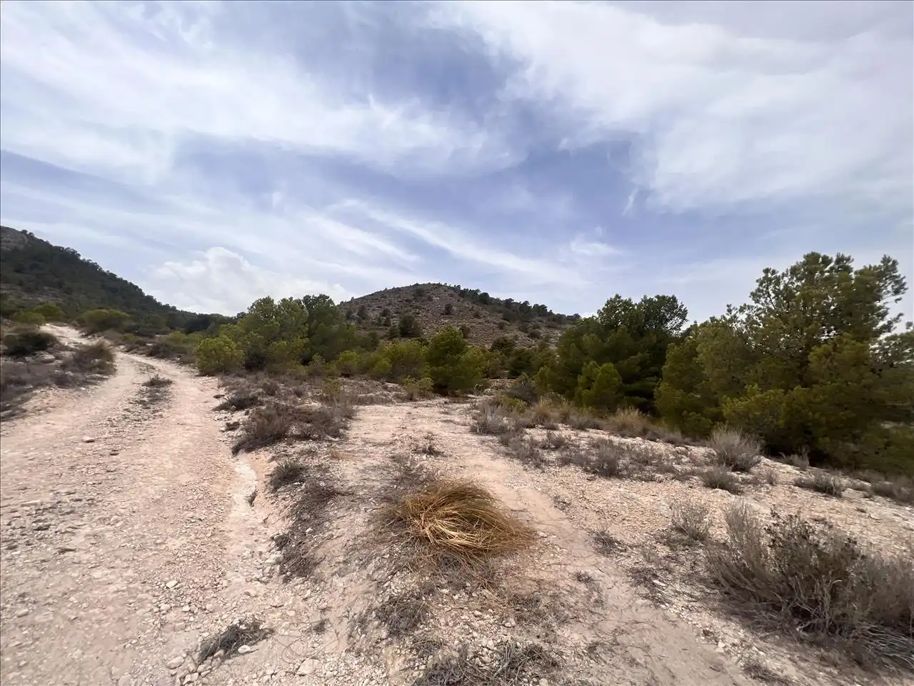 Residential land for sale in Proc. Simplificado, imagen 19