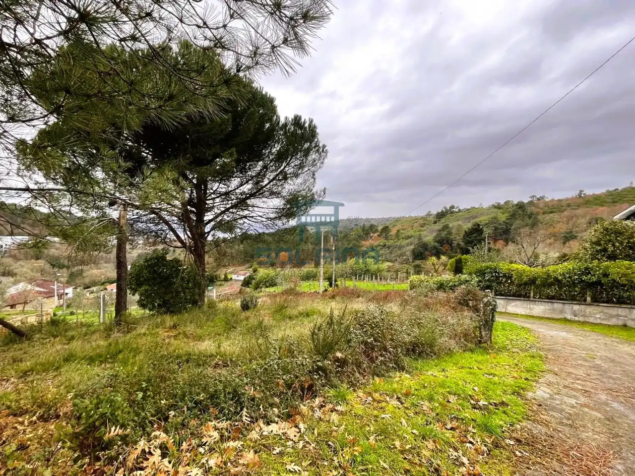 Terreni e lotti in vendita a O Pereiro de Aguiar