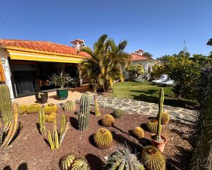 Jardí de Casa o xalet de lloguer en San Bartolomé de Tirajana amb Aire condicionat i Terrassa