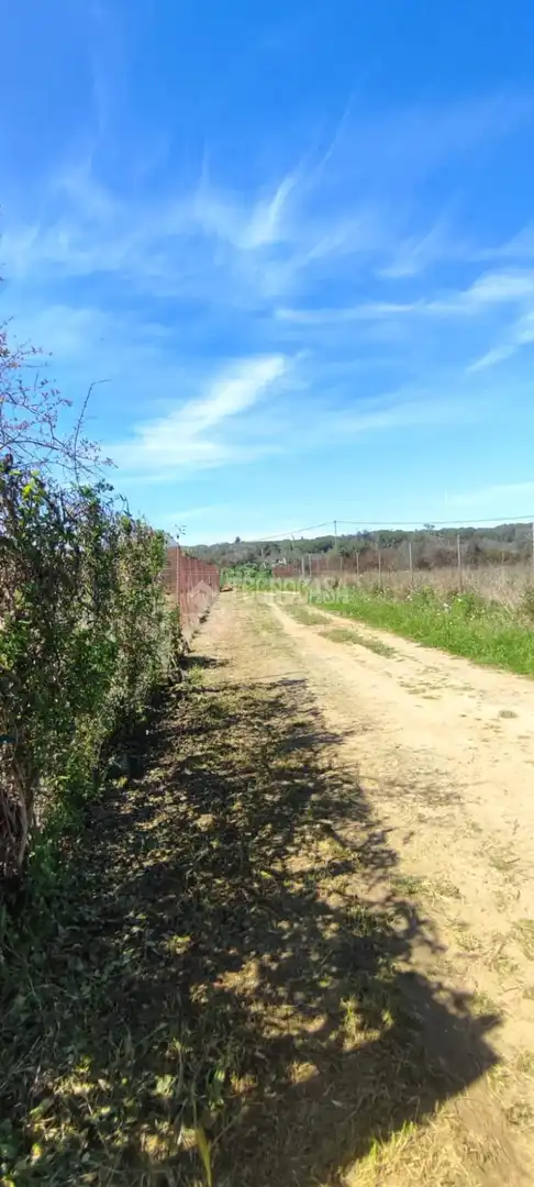 Terreno en venta en Alcalá de Guadaira