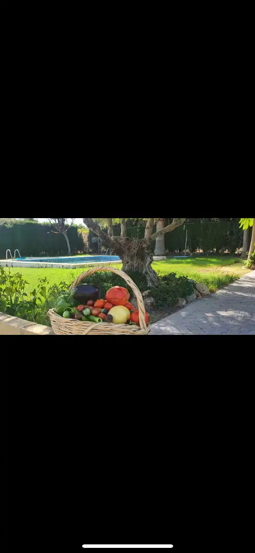 Jardí de Residencial en venda en Antequera
